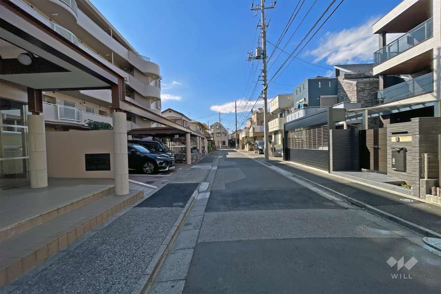 敷地の北側前面道路（西側から）
