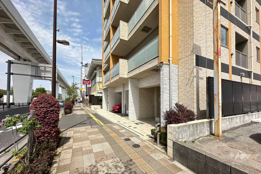 敷地の西側前面道路（南側から）