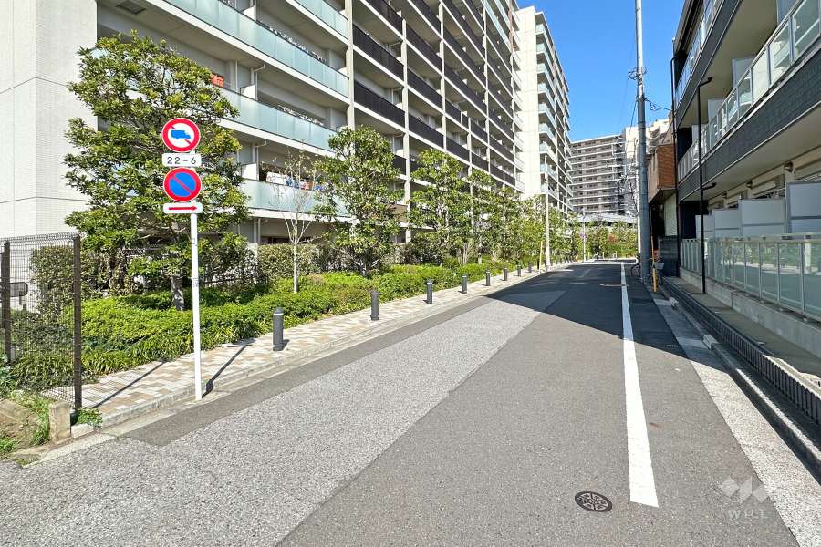 敷地南側の前面道路（西側から）