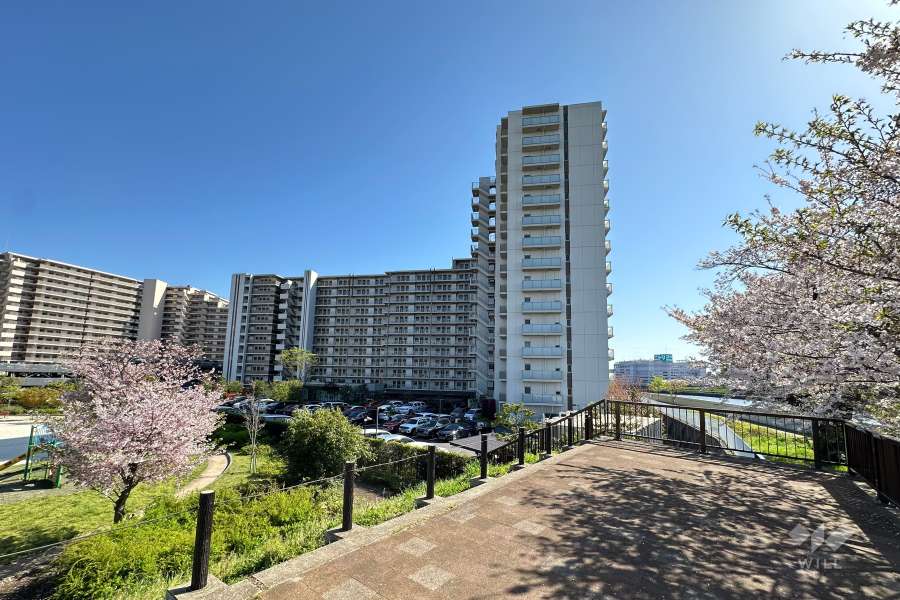 ファインシティ王子神谷リバーアンドフォレストの外観（北西側から）