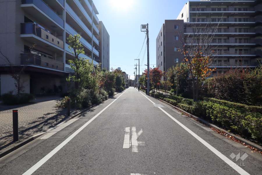 敷地北西側の前面道路(北側から)