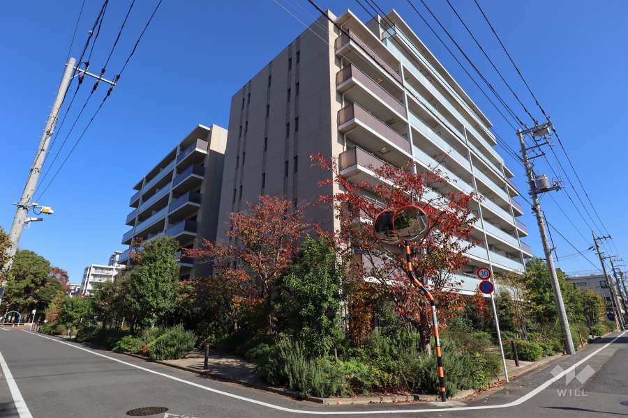 パークゲートメイツ西新井の外観(南西側から)