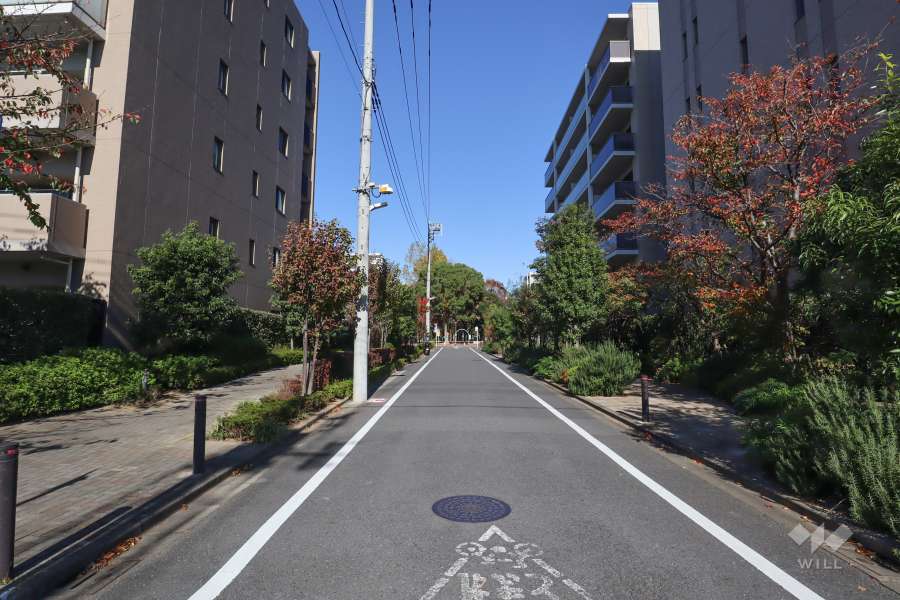敷地北側の前面道路(南側から)