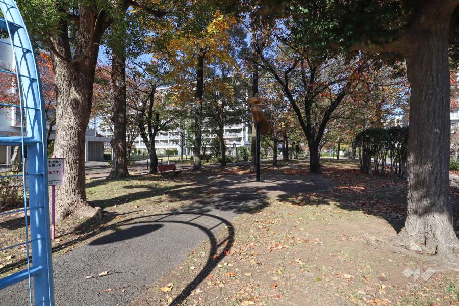 敷地に隣接する公園