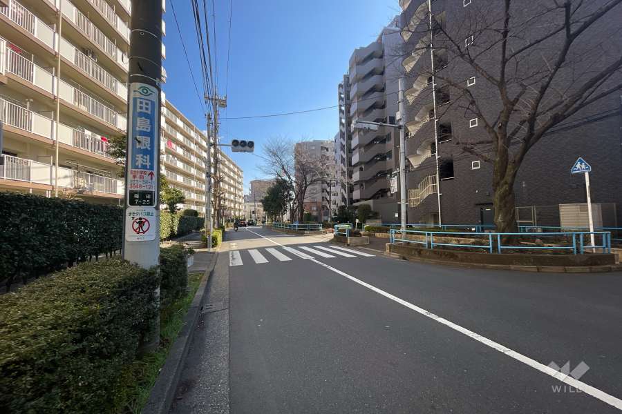 敷地北東側の前面道路（北西側から）