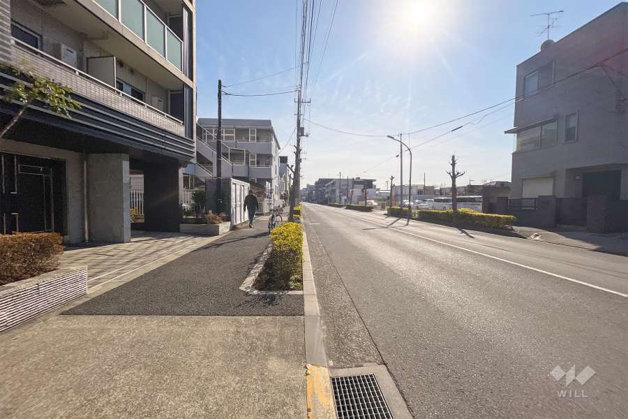 敷地西側の前面道路（北側から）