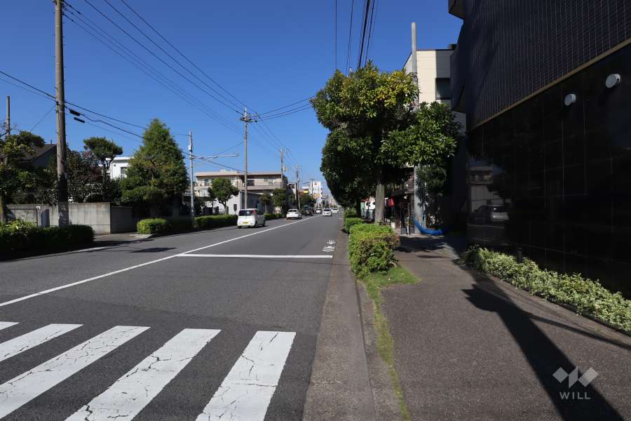敷地西側の前面道路(南側から)