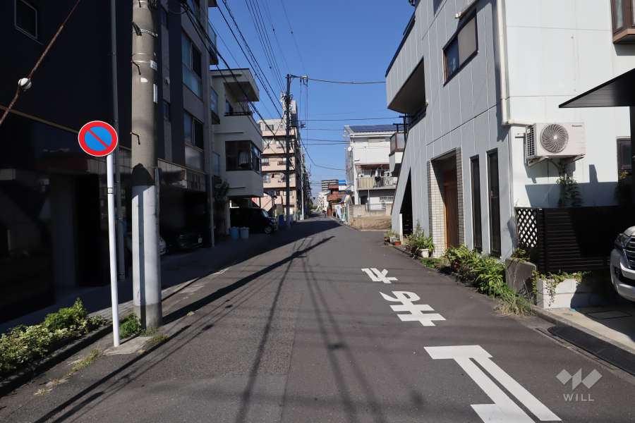 敷地東側の前面道路(南側から)
