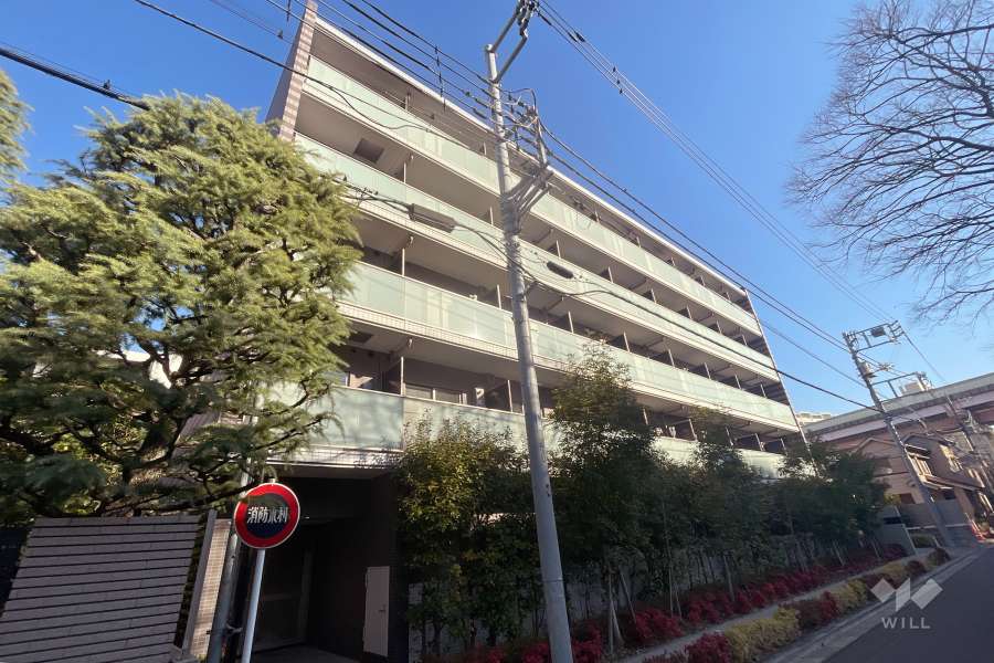 ライジングプレイス綾瀬の外観（南西側から）