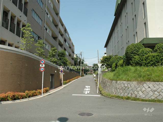 敷地の南側
