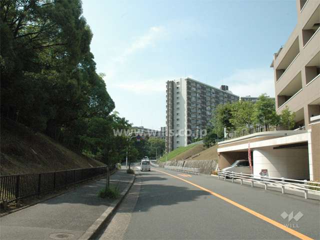 敷地の西側には道を挟んで桃山公園が広がっています。