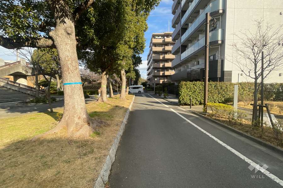 敷地西側の前面道路　
