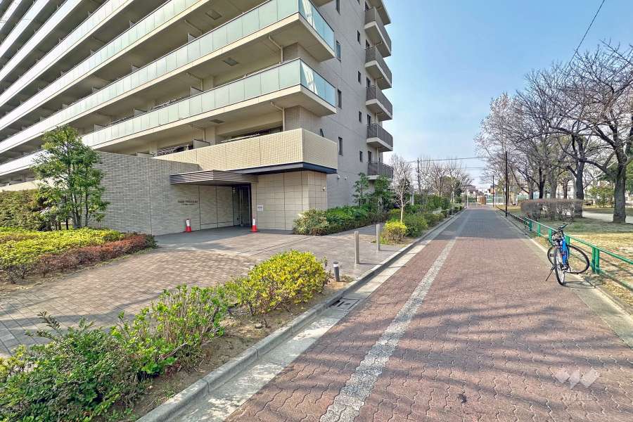 敷地の東側前面道路（南側から）