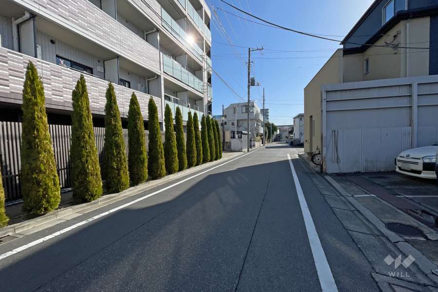 敷地南側の前面道路（西側から）