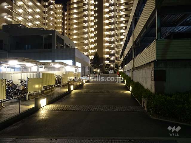 ライトアップされた車路