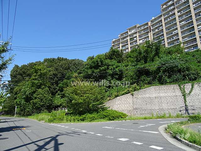 長野公園内にある保存林