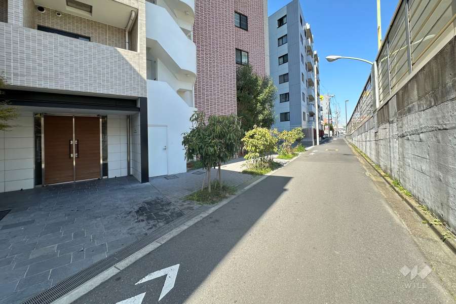 敷地の南側前面道路（西側から）