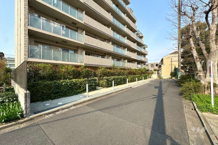 敷地の南側前面道路（西側から）