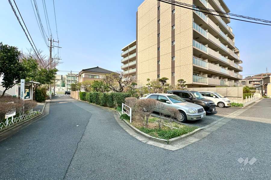 敷地の西側前面道路（南側から）