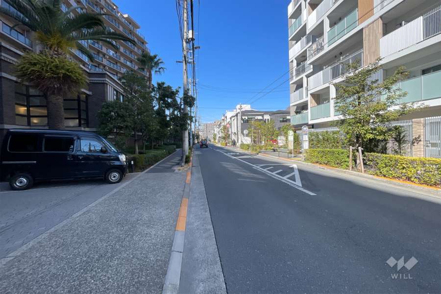 敷地の西側前面道路（南側から）