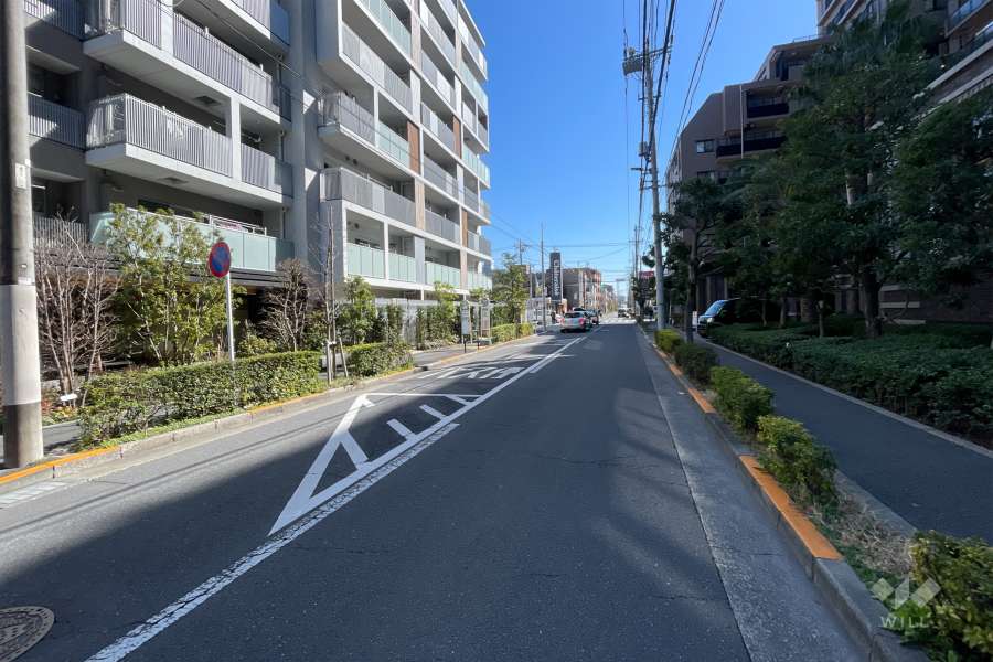敷地の西側前面道路（北側から）