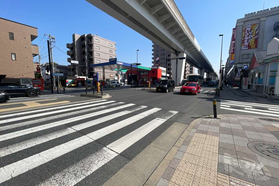 敷地の東側前面道路（北側から）