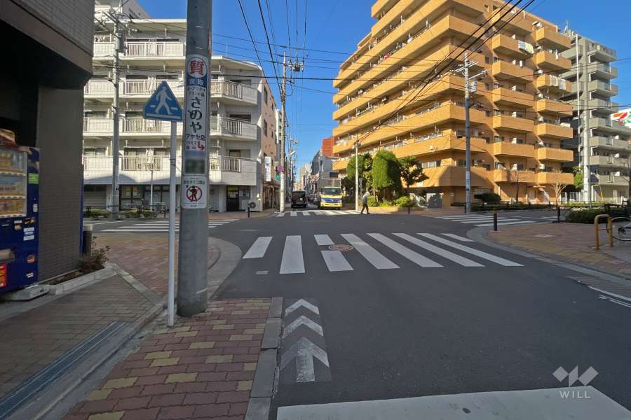 敷地北側の前面道路（東側から）