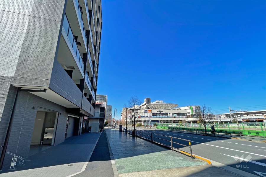 敷地の北東側前面道路は、かつら並木通りです（南東側から）。