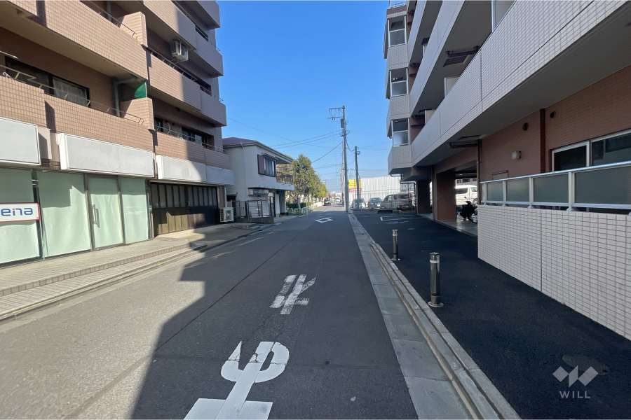 敷地北側の前面道路（西側から）