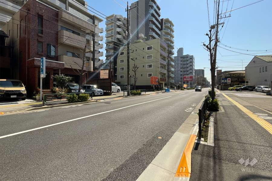 敷地の東側前面道路（北側から）