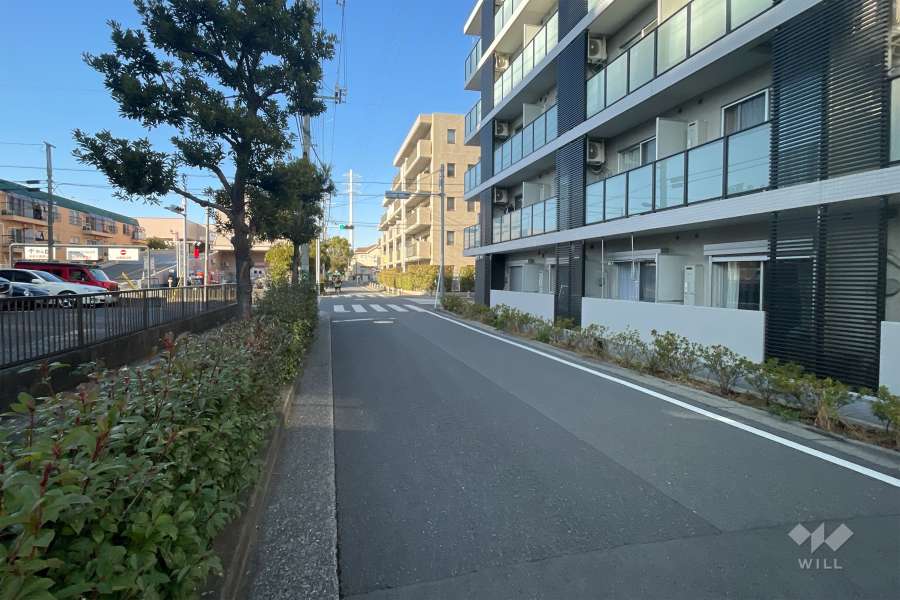 敷地西側の前面道路（南側から）