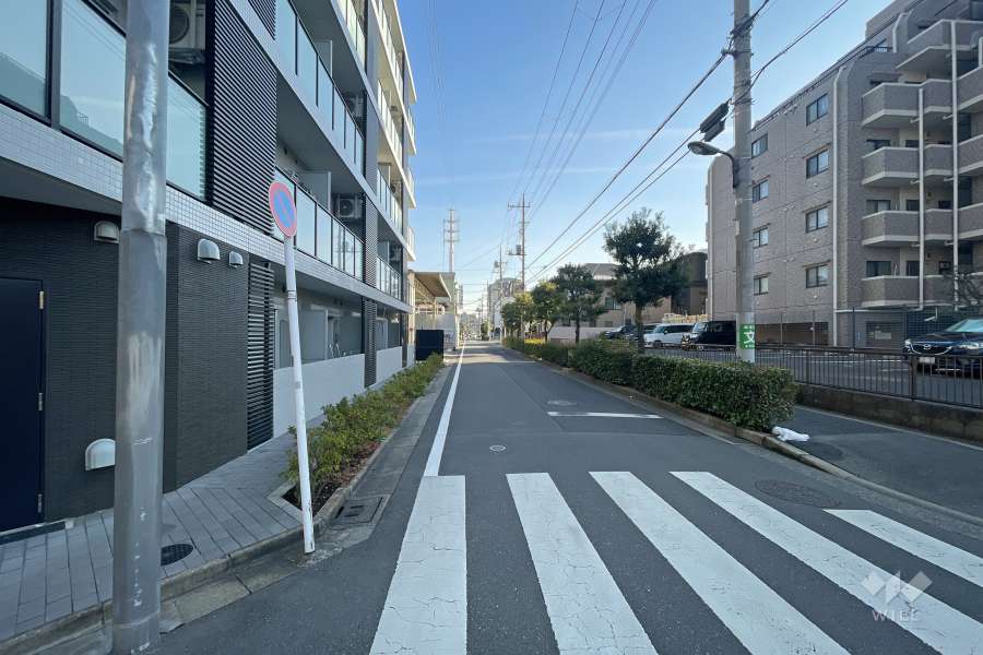 敷地の西側前面道路（北側から）