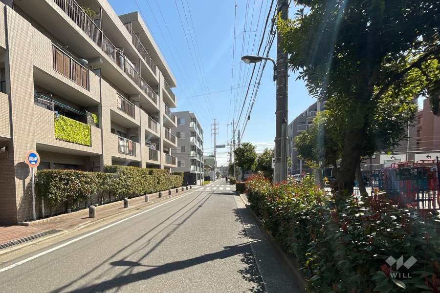 敷地の西側前面道路（北側から）