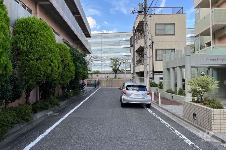 敷地の西側前面道路（南側から）