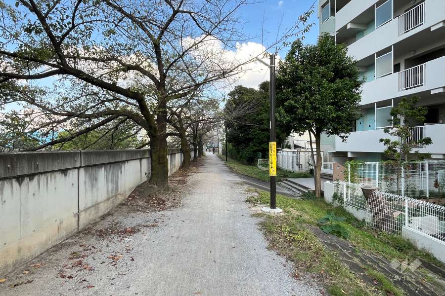敷地の北側前面道路（西側から）