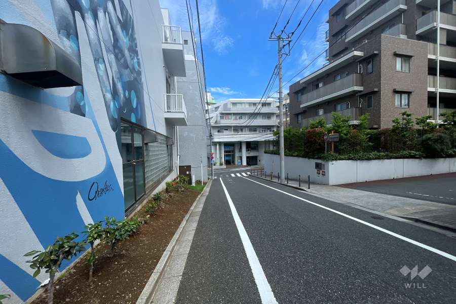 敷地北東側の前面道路（北西側から）