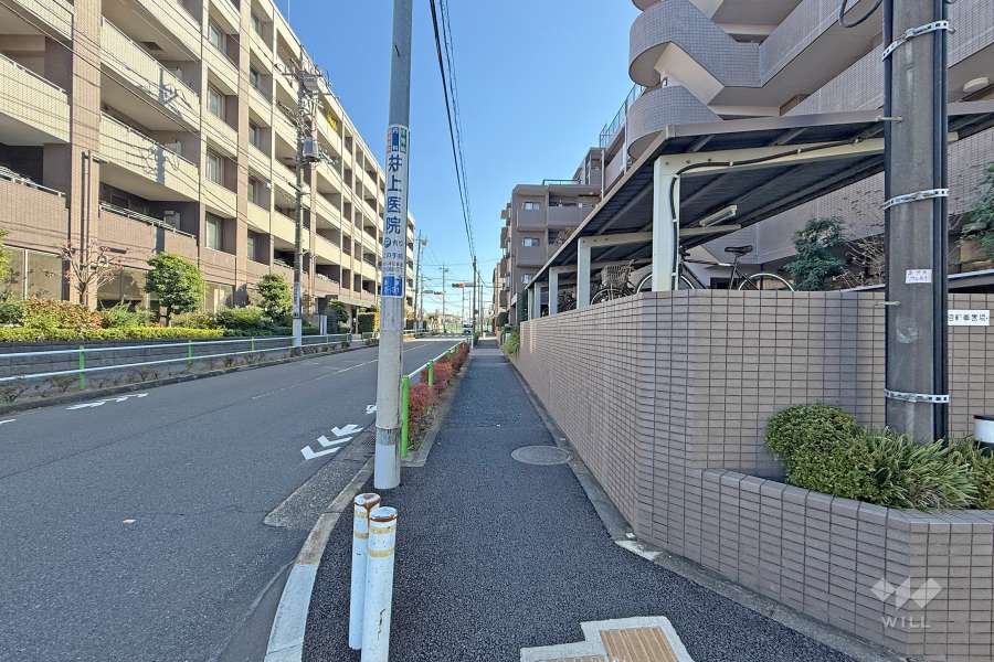敷地南西側の前面道路（北西側から）