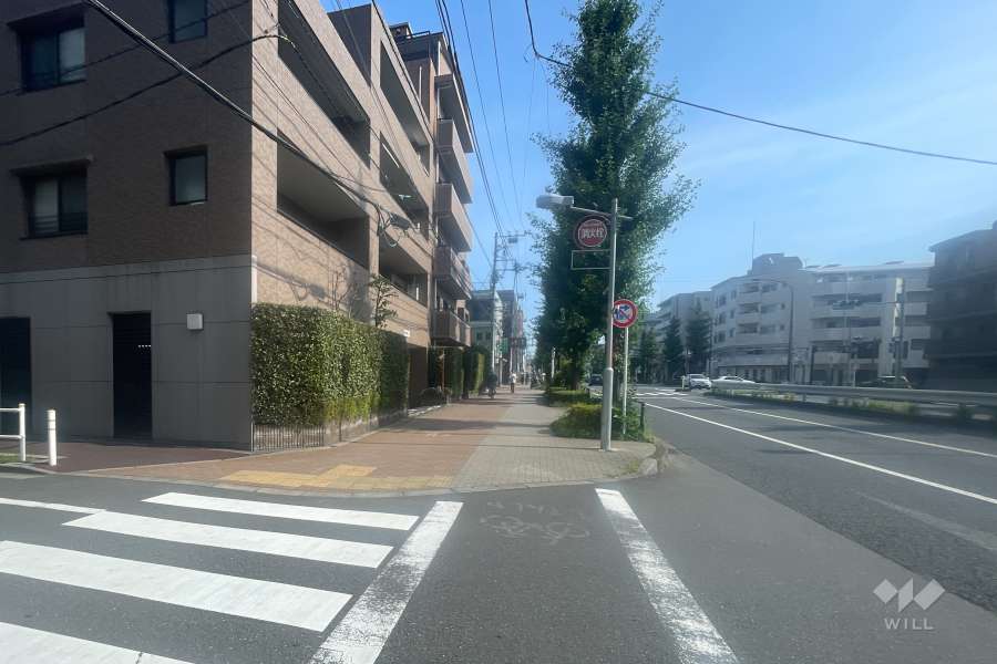 敷地の西側前面道路（北側から）