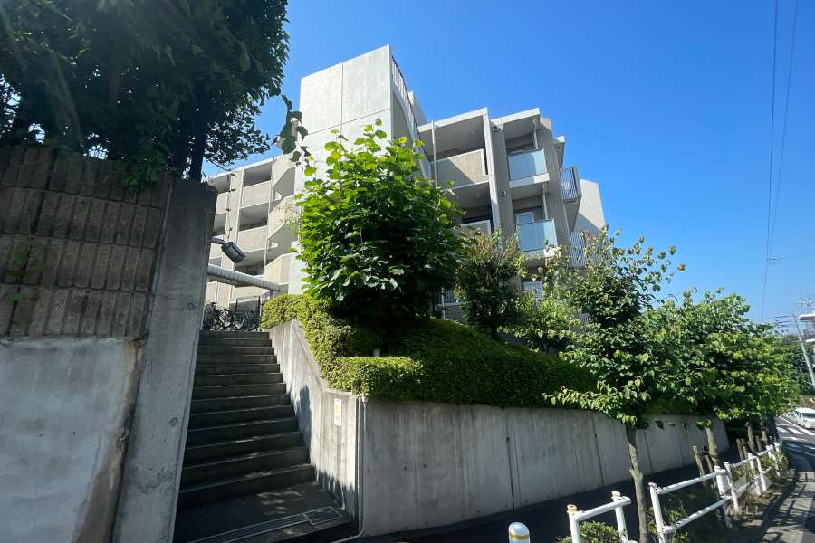 ゼファーヒルズ成増の外観（北側から）