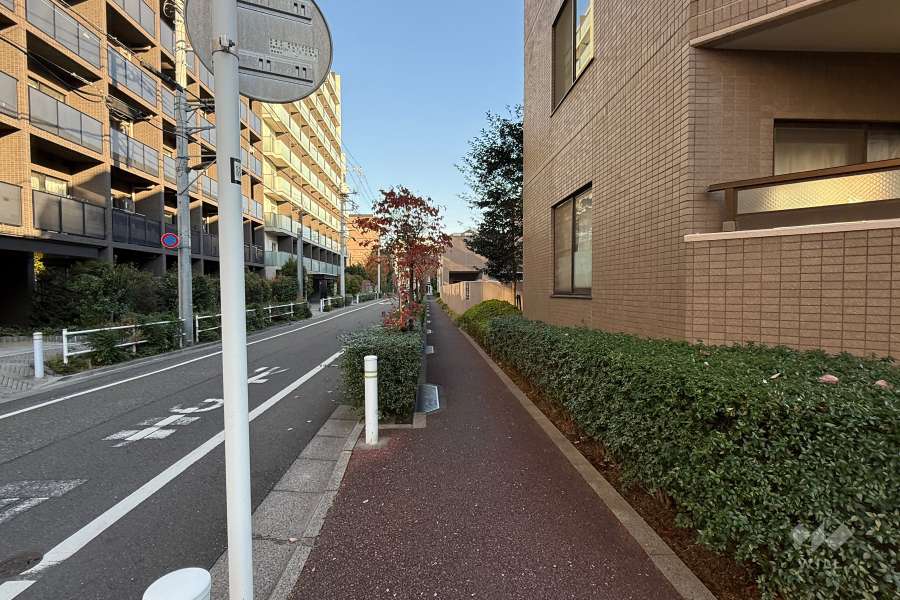 敷地の北側前面道路（西側から）