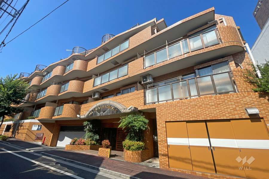 ダイアパレス成増2の外観（北東側から）