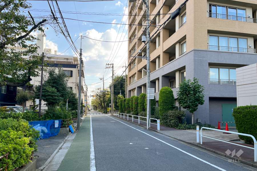 敷地東側の前面道路