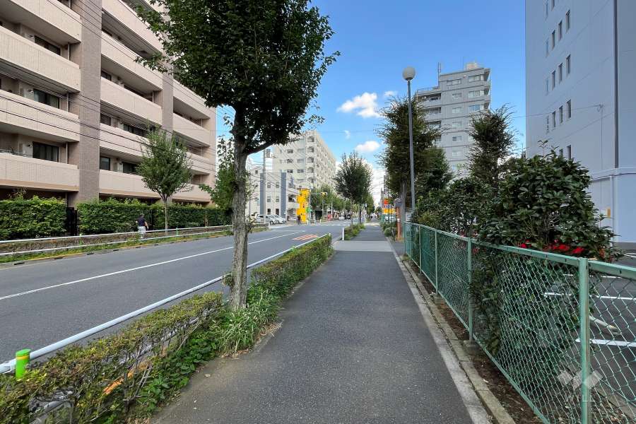 敷地北側の前面道路