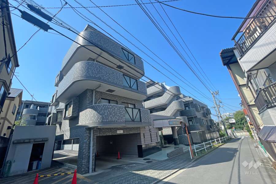 ライオンズヒルズ成増の外観（北東側から）