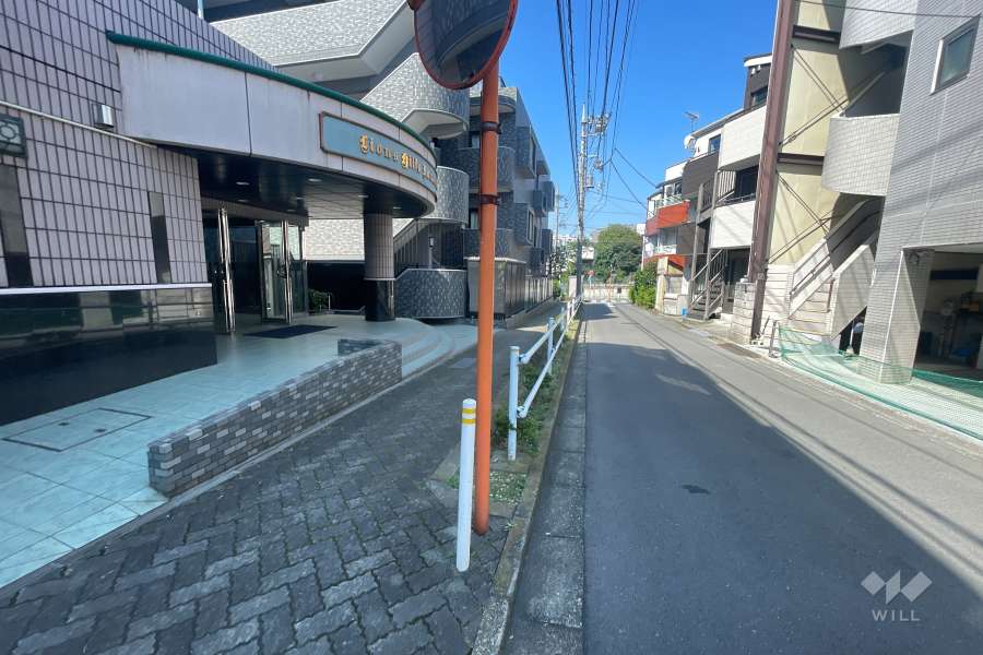 敷地北側の前面道路（東側から）