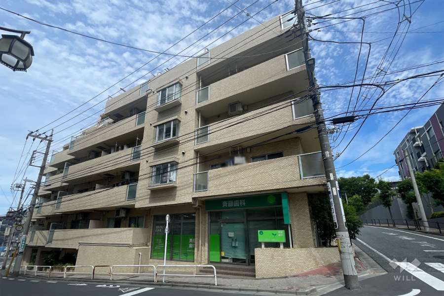 ライオンズマンション成増第３の外観（南西側から）　