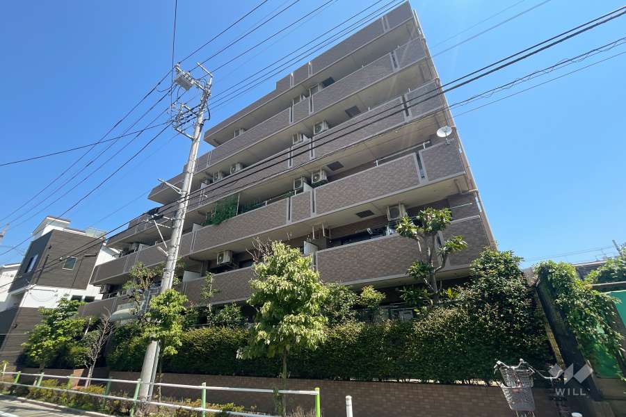 ライオンズマンション西高島平溝下公園弐番館の外観（南東側から）