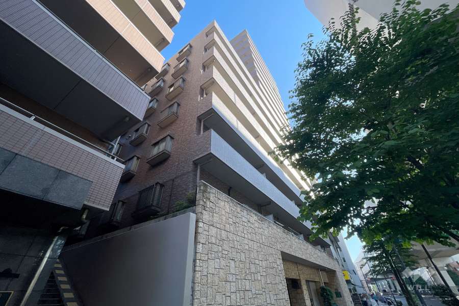 カテリーナ池袋西プラザタワーの外観（南西側から）