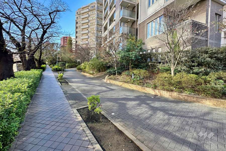 敷地北東側の前面道路