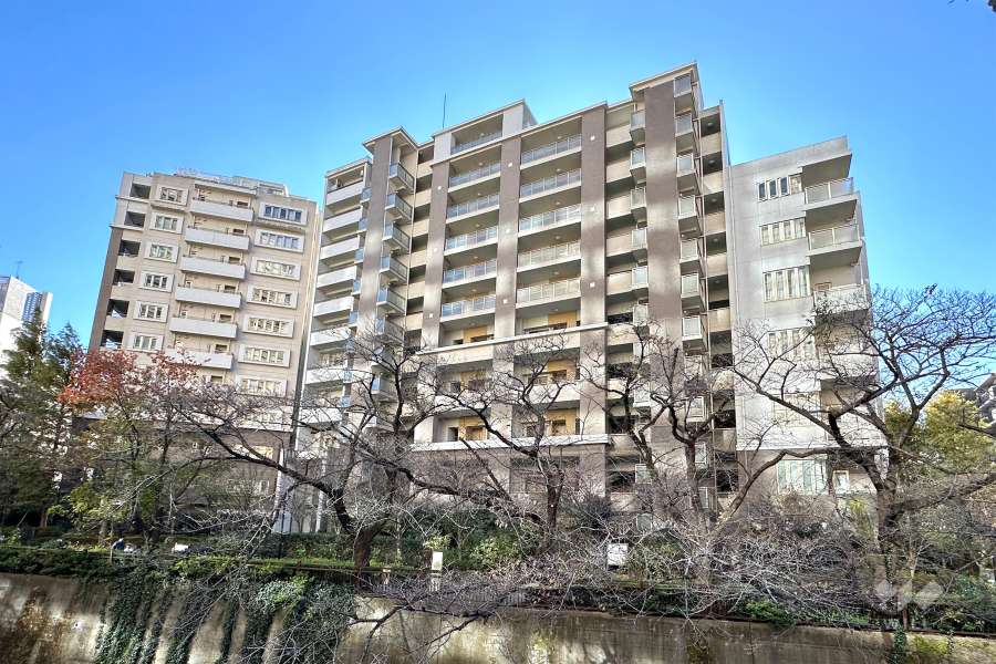 グランアルト加賀の外観（北側から）